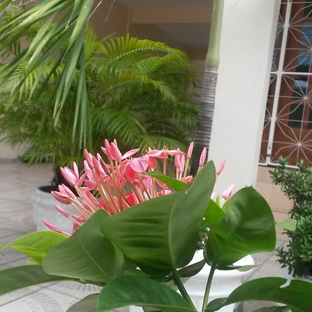 Each Hostel Da Amazonia Manaus Eksteriør billede
